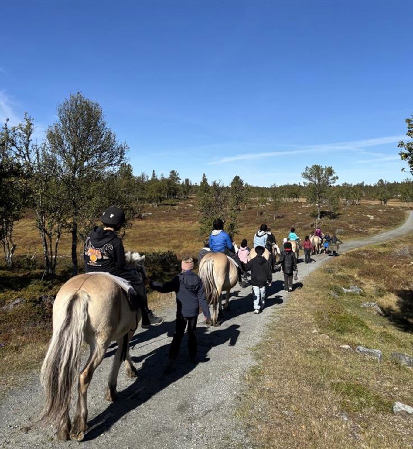 Foto: Majorstuen skole // Siv H. Kildal Folk som rir på en sti