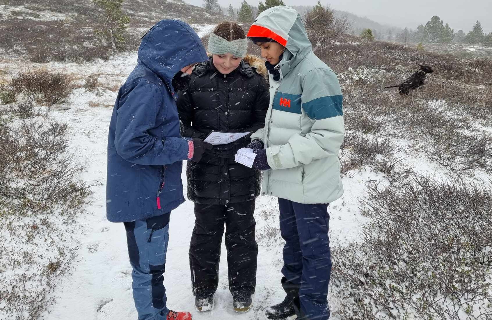 en gruppe mennesker som står i snøen