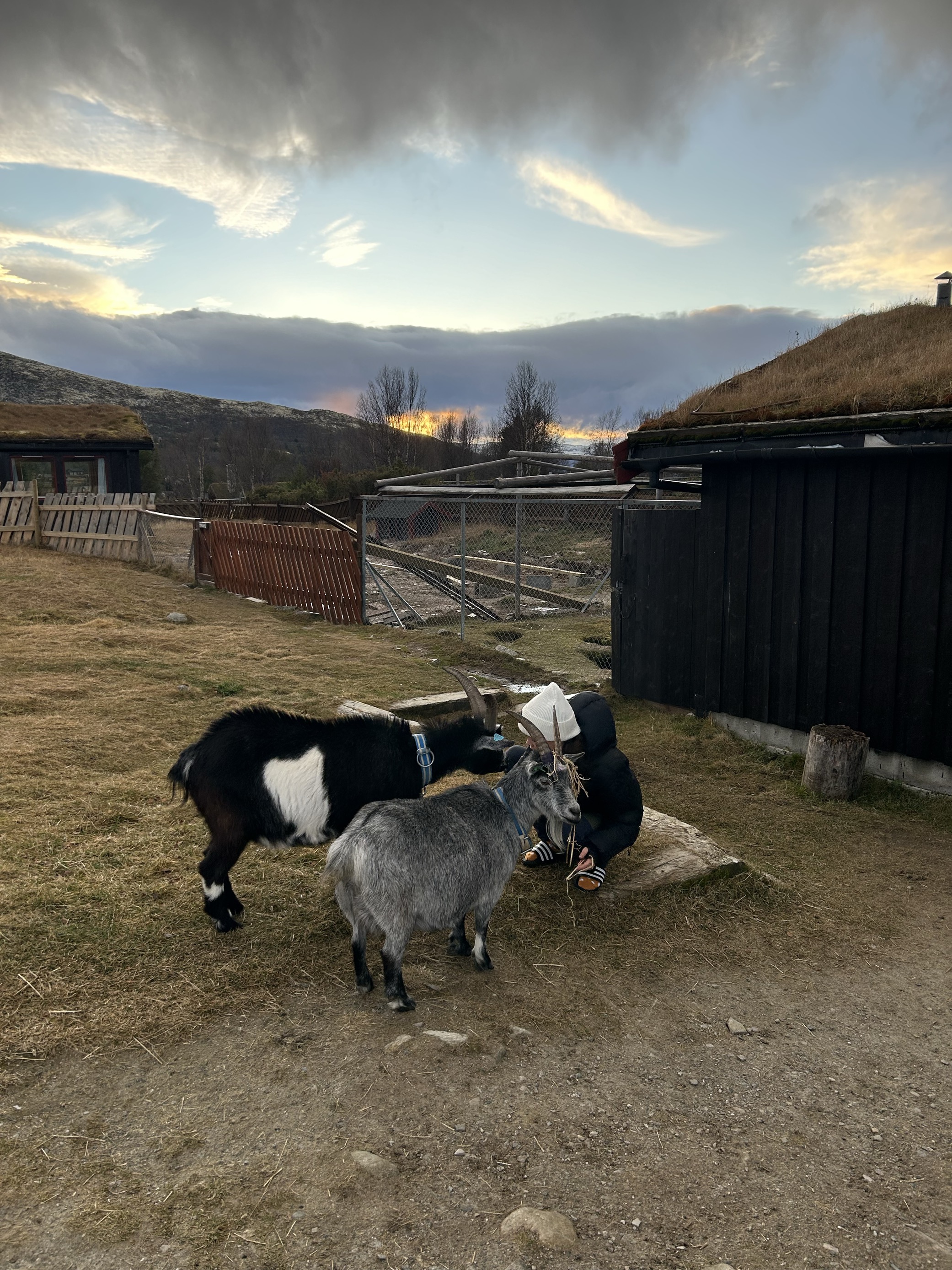 en person med en gruppe ***