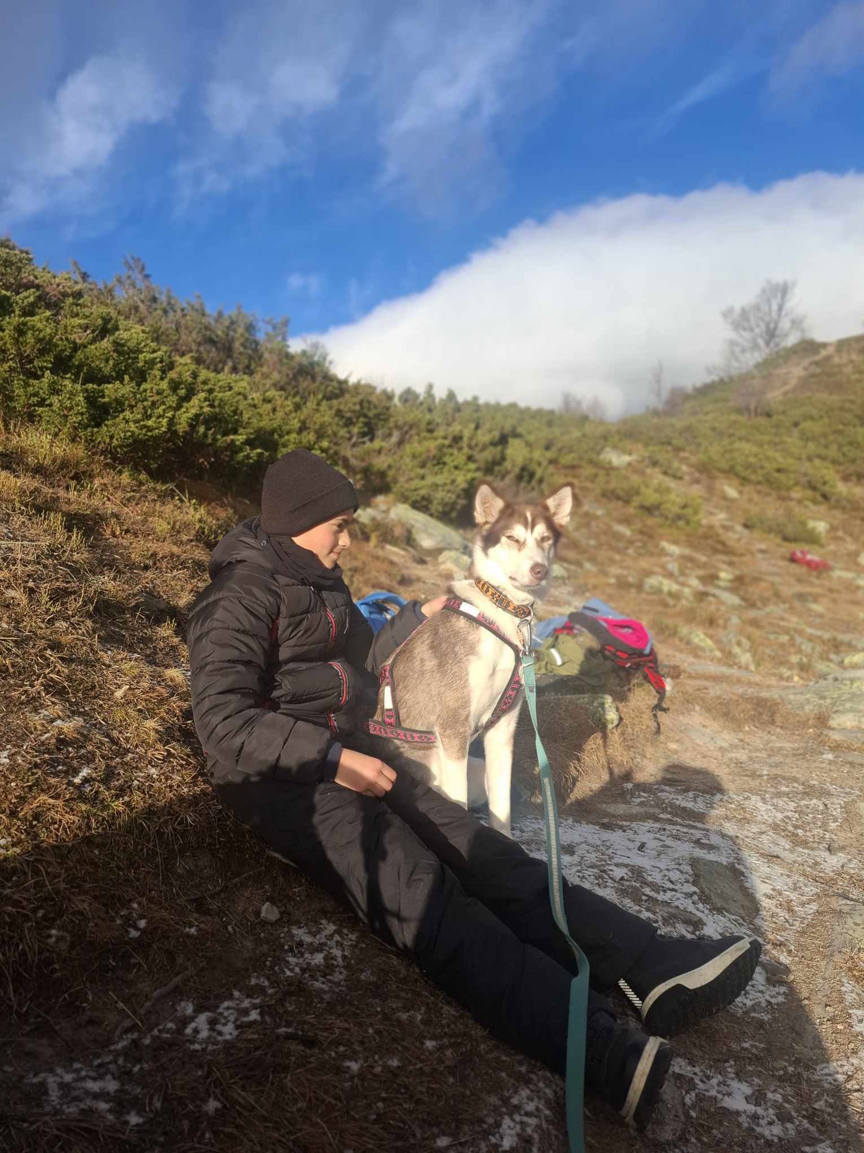 Foto: rondeheim.no en person som sitter på en stein med en hund i bånd