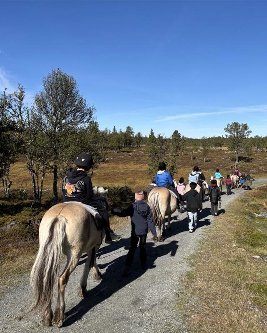 Folk som rir på en sti Folk som rir på en sti