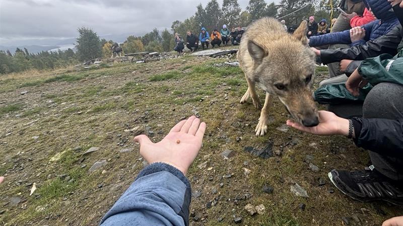 en hund som står på en steinete høyde med folk sittende på den